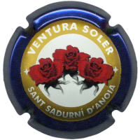 Placa