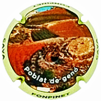 Placa