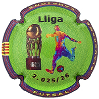 Placa